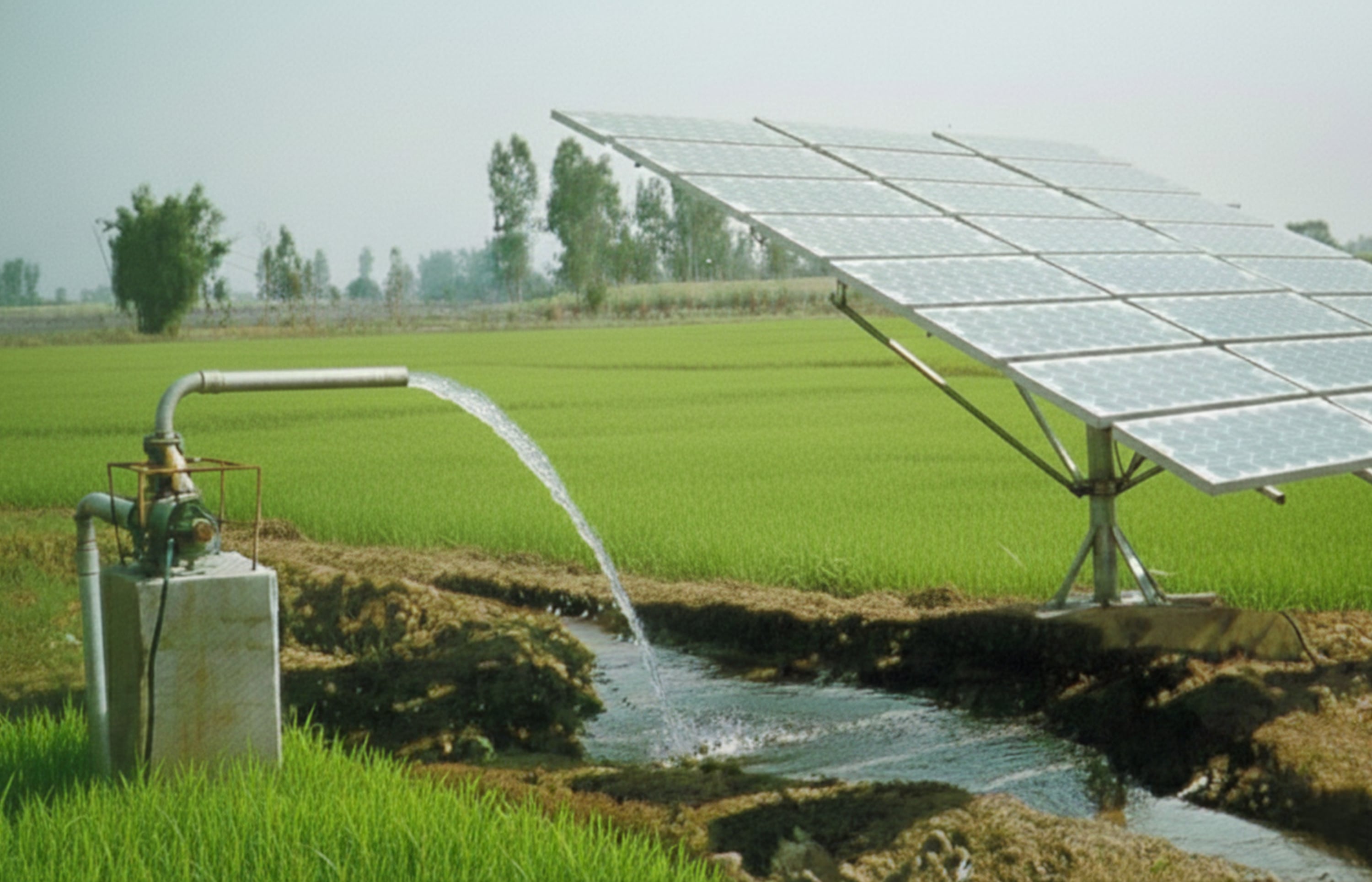 Top 5 Solar Water Pump Companies in India