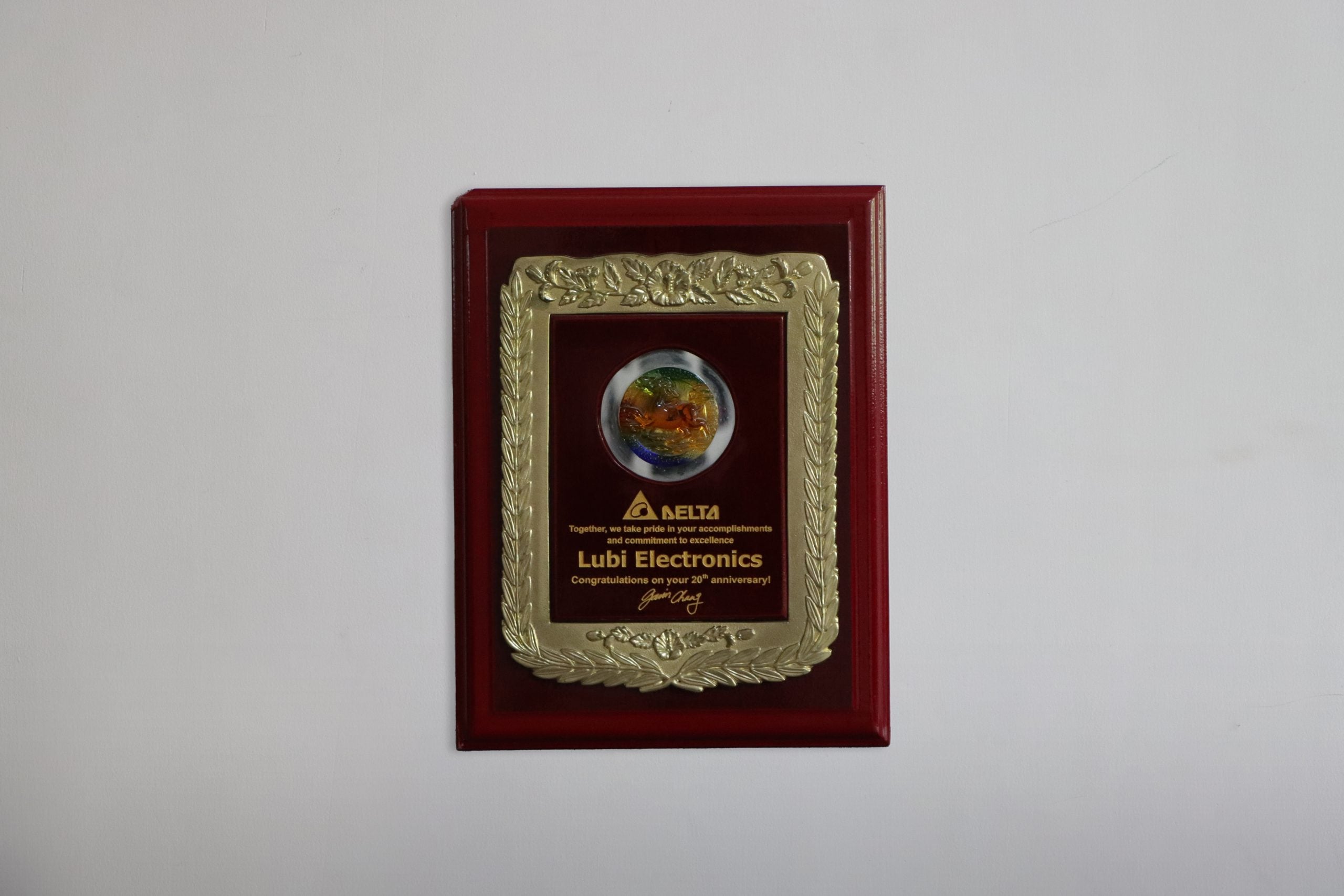 20th Anniversary Award from Delta (1)